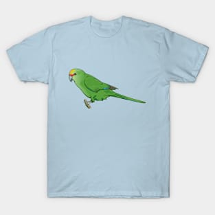 Yellow-crowned parakeet Kākāriki T-Shirt